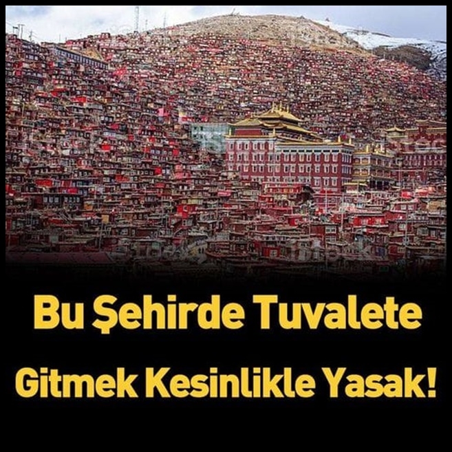 Burada tuvalet yasak galerisi resim 1