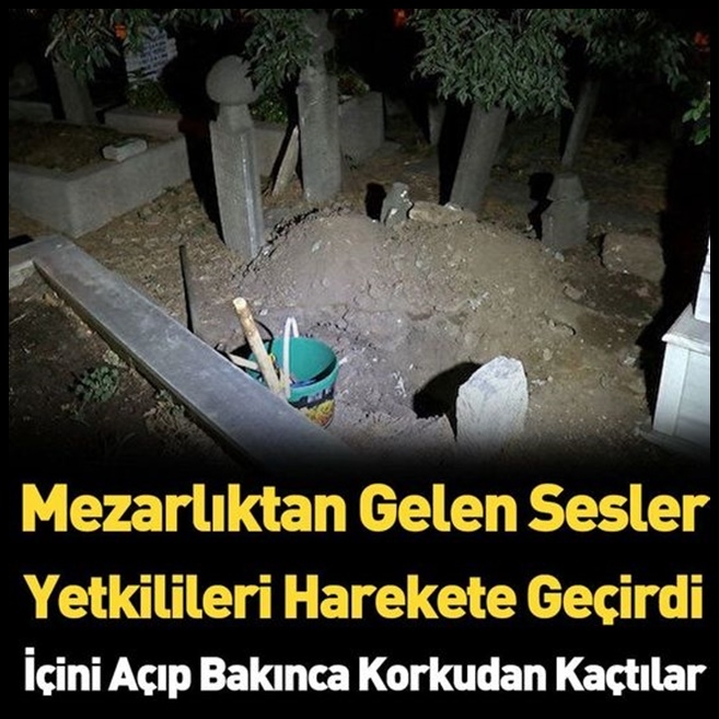 Nasıl fark etmemişler ki çok tuhaf!.. galerisi resim 1