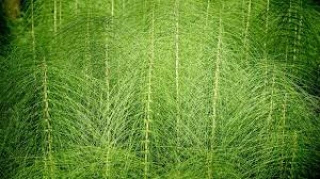 Ben Camii İmamıyım.. galerisi resim 7