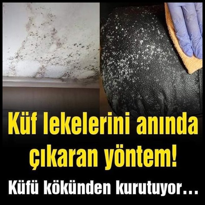 Küf lekelerini anında çıkaran yöntem galerisi resim 1