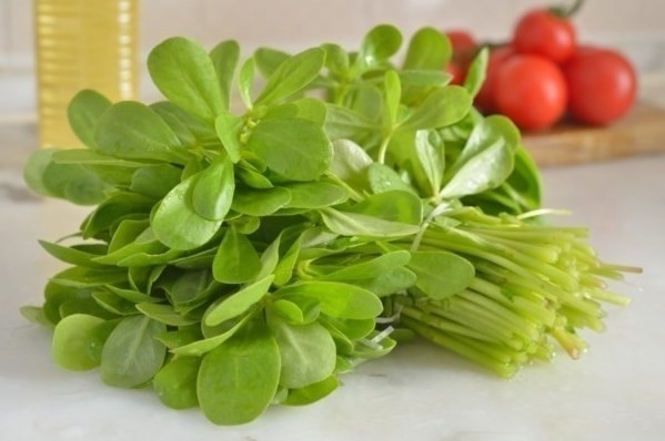 Bu Bitki Sayesinde Ağrılarınız Son Bulacak galerisi resim 4