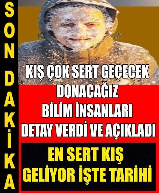 Kış Çok Sert Geçecek Donacağız galerisi resim 1