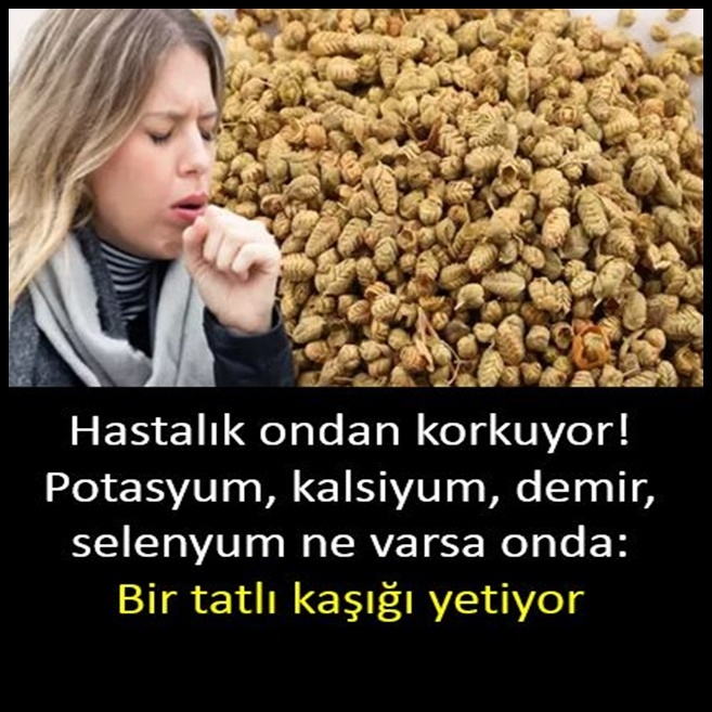 Bir tatlı kaşığı yetiyor! galerisi resim 1