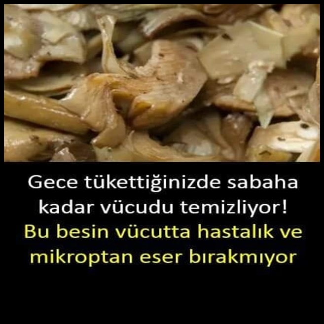 Vücutta hastalık ve mikroptan eser bırakmıyor. galerisi resim 1