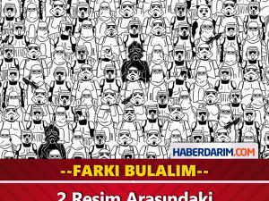 Fotoğraftaki Farklılıkları Bulalım
