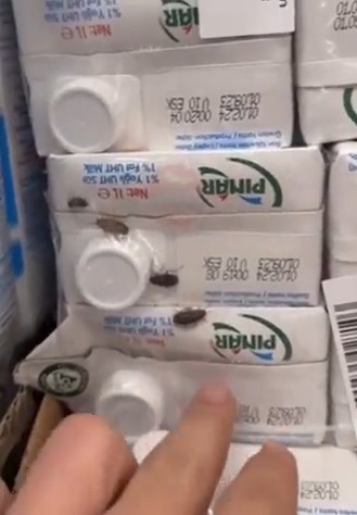 Zincir markette skandal görüntüler galerisi resim 3