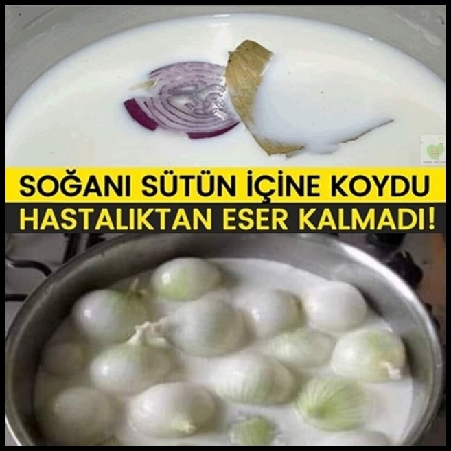 Soğanı Sütün İçine Koydu galerisi resim 1