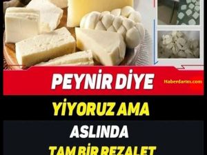 PEYNİR DİYE YİYORUZ AMA, TAM BİR REZALET