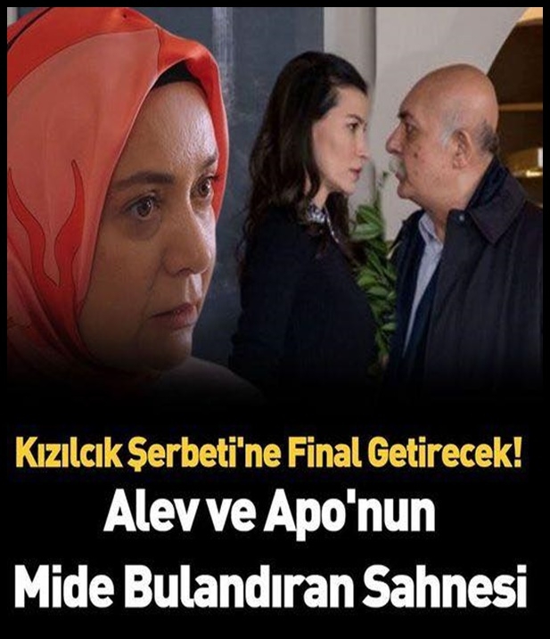 Alev ve Apo’nun konuşması galerisi resim 1