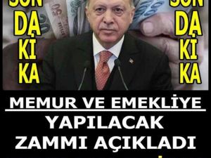 Emekli Ve Memura Yapılacak Zam Oranı
