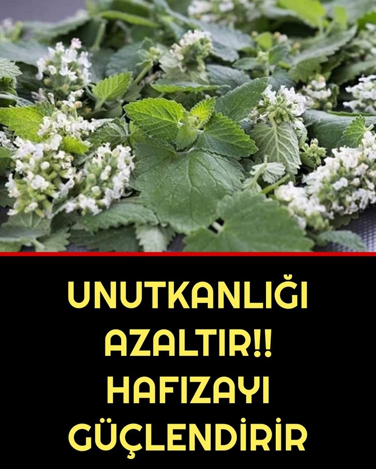 Unutkanlığı hemen bitiriyor galerisi resim 1