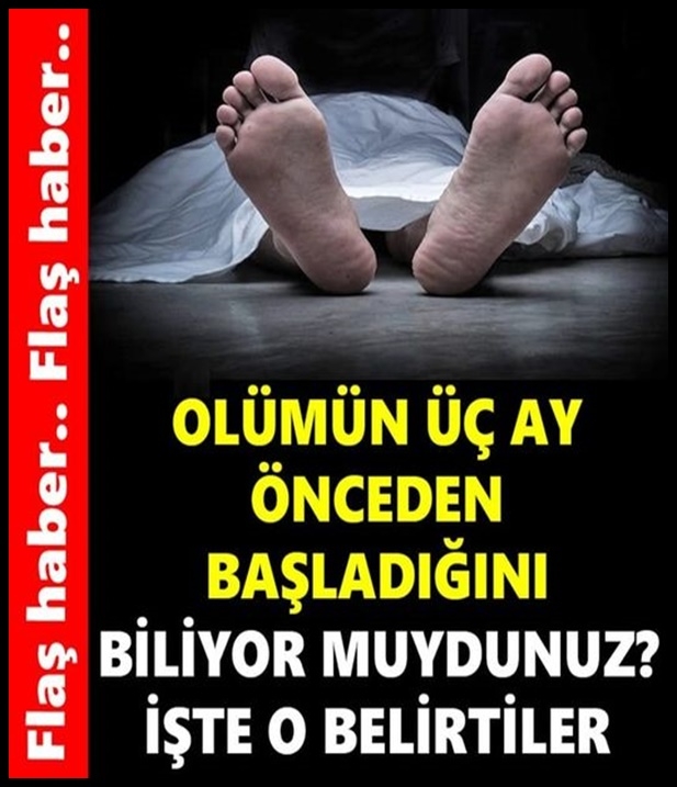 3 ay önceden başladığını biliyor muydunuz galerisi resim 1