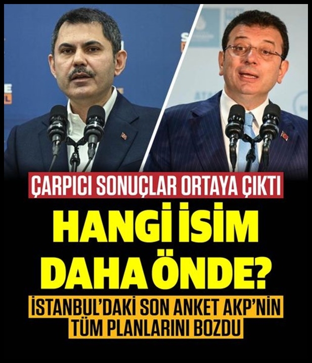 SONAR Araştırmadan çarpıcı anket galerisi resim 1