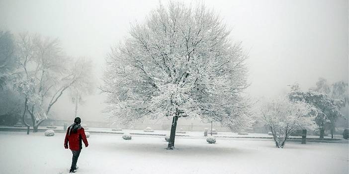 Hava sıcaklıkları aniden düşüyor! Kar yağışı bu gece yarışı başlayacak,  galerisi resim 8