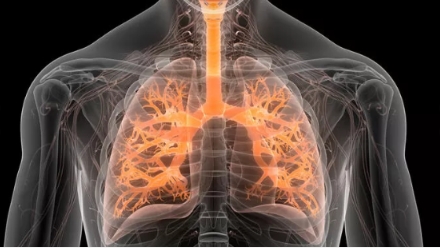 Parmak Testiyle Akciğer Kanseri Riskinizi Ölçebilirsiniz galerisi resim 3
