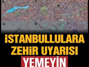 İSTANBULLULARA ZEHİR UYARISI