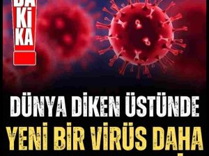Gizemli virüs: Rekor hızla yayılıyor