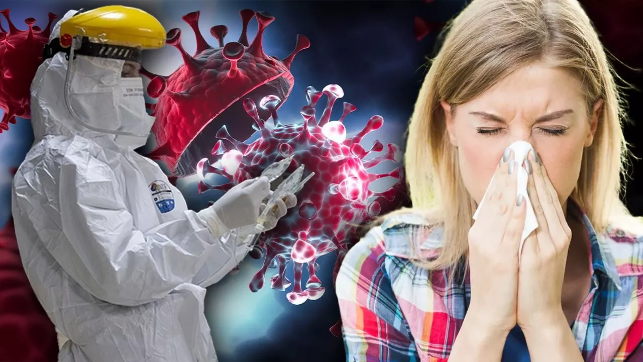 Covid-19 benzeri yeni salgın görüldü galerisi resim 1