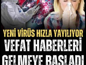 Covid-19 benzeri yeni salgın görüldü