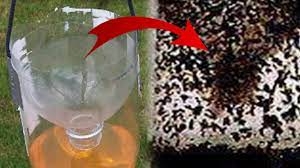 Artık evinizde sinek görmeyeceksiniz. galerisi resim 3