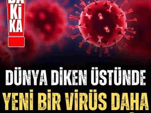 Pandemi Nedeniyle Yeniden Kapanma Tehlikesi!