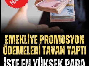 Emeklilere Promosyon!