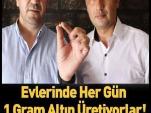 Herkes evinde 1 gram altın üretebilir!