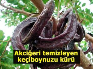 Akciğerleri temizleyen 6 mucize besin