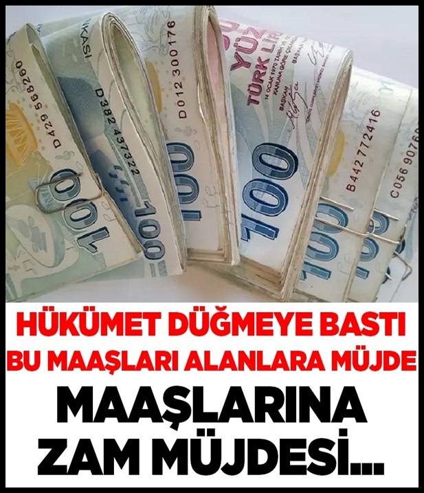 Hükümet Düğmeye Bastı galerisi resim 1