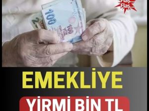 Emekli desteği detayları belli oldu!