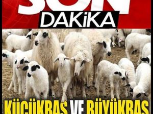 2024 Kurban Fiyatları Açıklandı!