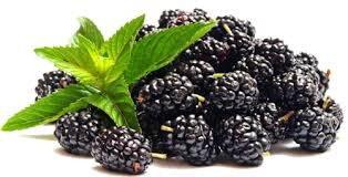 Dutun faydaları nelerdir? galerisi resim 1