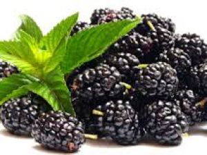 Dutun faydaları nelerdir?