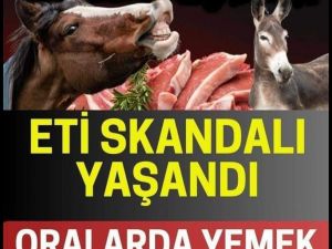 Bu firmaların at ve eşşek eti yedirildiği tespit edildi