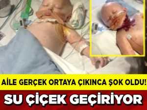 Su Çiçeği Sandılar Ama…