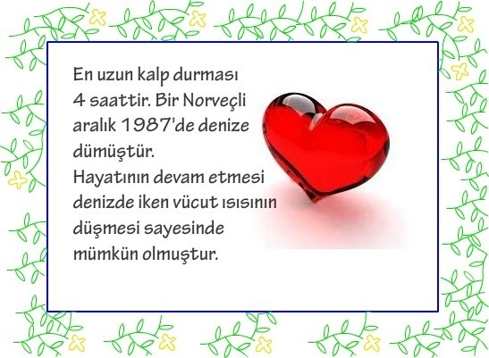 ÖĞRENİNCE TÜYLERİNİZ ÜRPERECEK ! ÖLDÜKTEN SADECE 5 DAKİKA SONRA galerisi resim 28