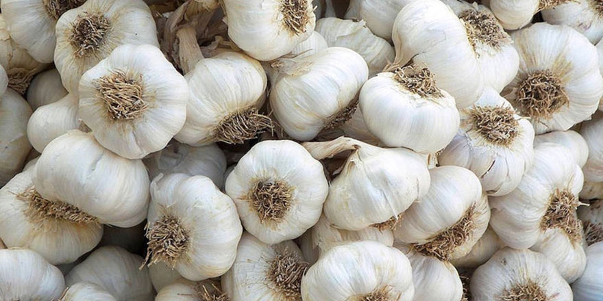 Bir diş sarımsağı tuvalete atmak galerisi resim 3