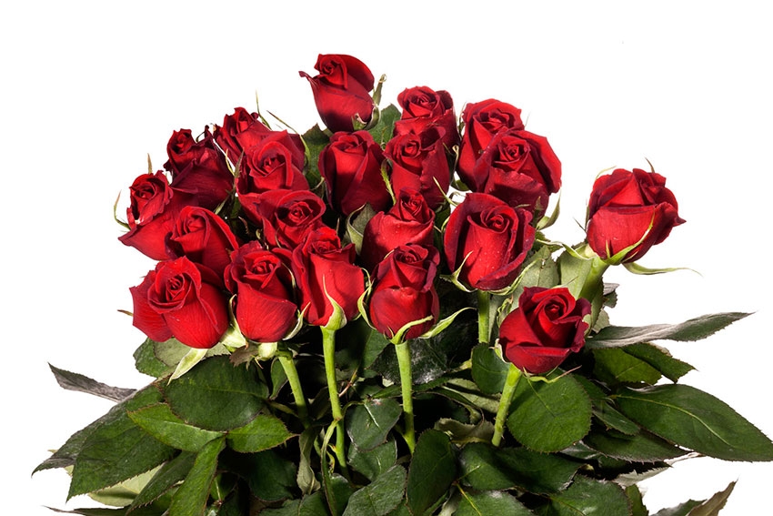 Evde Doğal ve Güzel Kokulu Deodorant Yapımı! galerisi resim 4