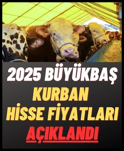 Güncel Kurban Fiyatları galerisi resim 1