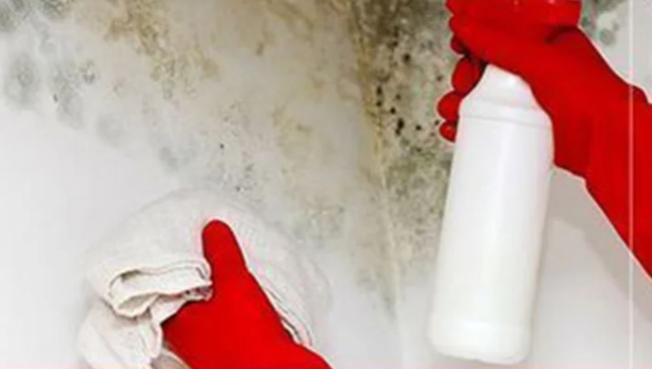 Rutubet kokusundan anında kurtaracak o yöntemler galerisi resim 2