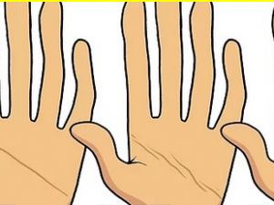 BU ARAŞTIRMA ÇOK KONUŞULUR! ELİNİZDEKİ ÇİZGİLER NE ANLAMA GELİYOR?