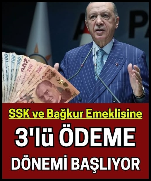 3'lü ödeme dönemi galerisi resim 1