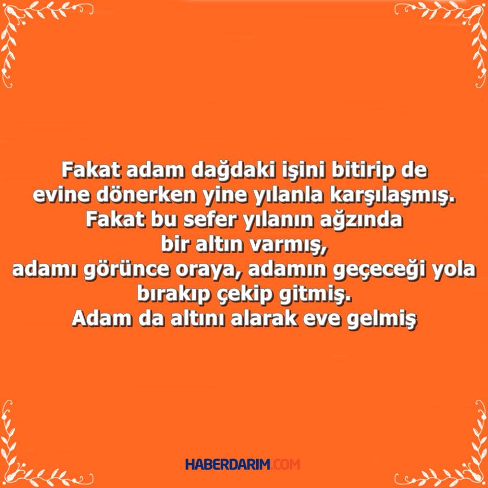 İbretlik Güzel Bir Hikaye galerisi resim 3