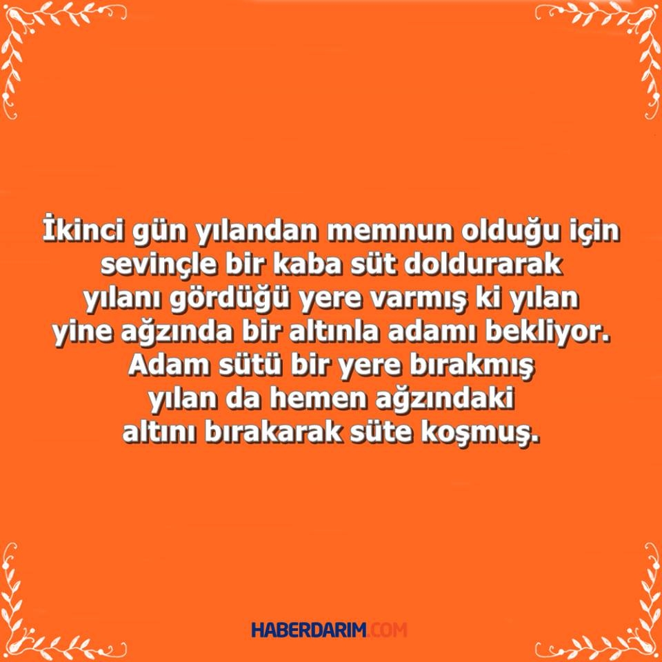 İbretlik Güzel Bir Hikaye galerisi resim 4