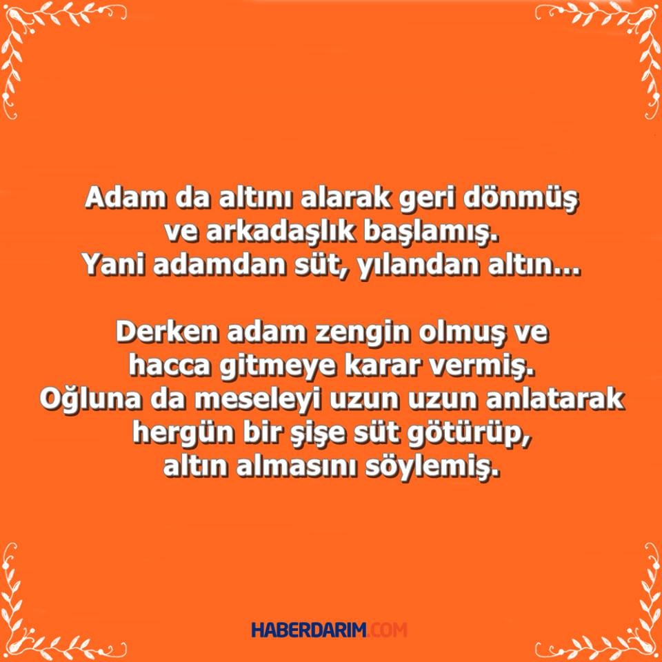 İbretlik Güzel Bir Hikaye galerisi resim 5