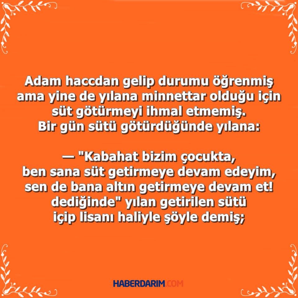 İbretlik Güzel Bir Hikaye galerisi resim 8