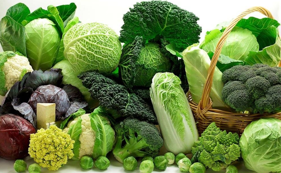 Hastalıkların kökünü kurutuyor! galerisi resim 3