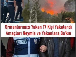 Orman Yangınları Hakkında