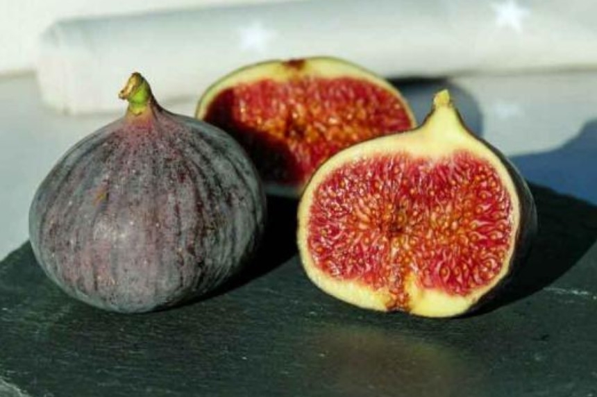 İnncir yerken iki defa düşünün galerisi resim 1