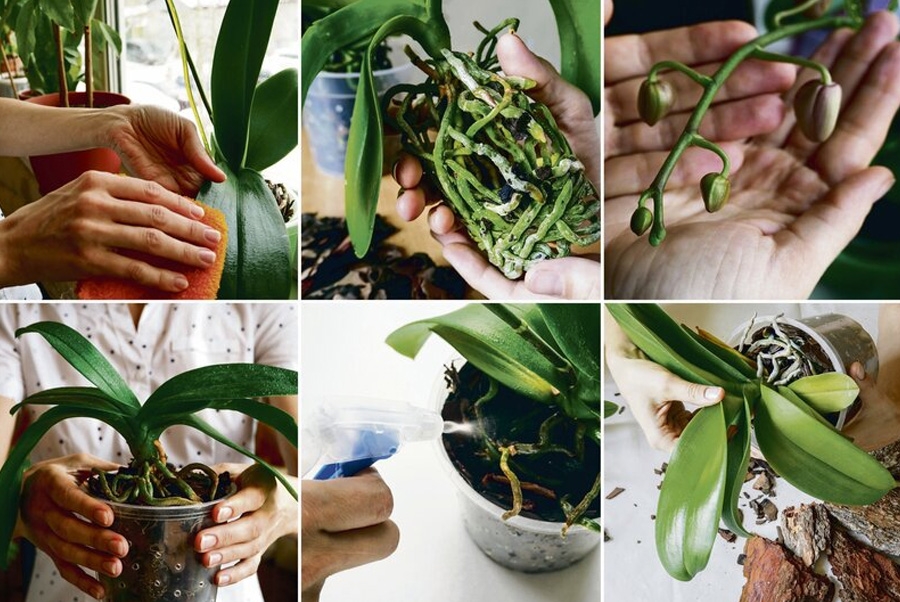 Tarifini yorumda verdiğim bu karışımdan sadece 1 bardak dökün galerisi resim 2